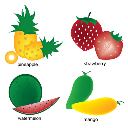 fruits on the white backgroundのイラスト素材