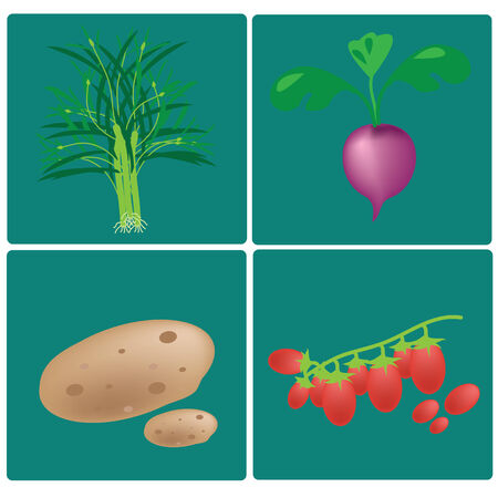 vector vegetables set on blue backgroundのイラスト素材