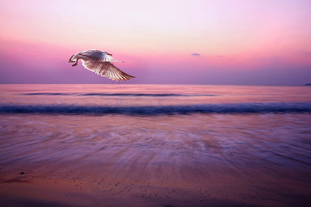 The light of the Sun in the morning on the beachの写真素材