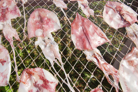 Dried squid in the market Thailandの写真素材