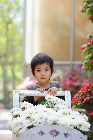Asian boy and White Chrysanthemum flowers in parkの写真素材