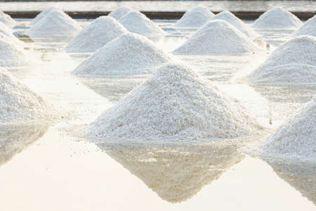 Salt pile in salt farmの写真素材