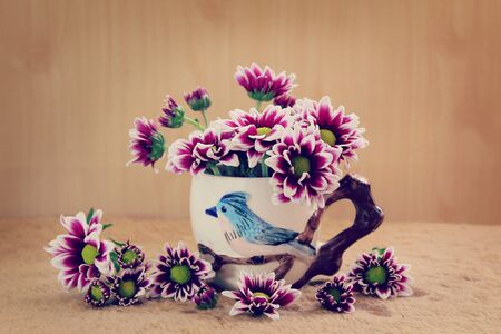 still life flowers, Chrysanthemum in vaseの写真素材