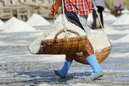 Agriculture in Thailand, Workers working in the salt farmの写真素材