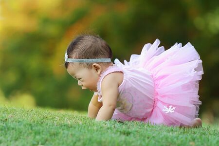 Asian baby wearing a pink dress was crawling in the grass.の写真素材