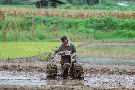 Chiang Mai, Thailand - July 29, 2015: Farmers were plowing in preparation for planting in Mae Chaem District, Chiang Mai. Northern Thailand.のeditorial素材