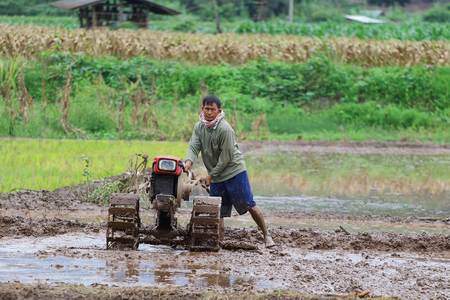 Chiang Mai, Thailand - July 29, 2015: Farmers were plowing in preparation for planting in Mae Chaem District, Chiang Mai. Northern Thailand.のeditorial素材