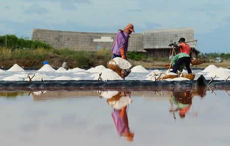Workers working in the salt farm in Phetchaburi.の写真素材