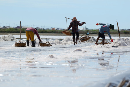 Phetchaburi, Thailand - September 9, 2015: Agriculture in Thailand, Workers working in the salt farm in Phetchaburi, Thailand.のeditorial素材