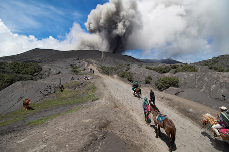 Java, Indonesia - April 3, 2016: Many tourists Travel to Mount Bromo, Mount Bromo is an active volcano and part of the Tengger massif, in East Java, Indonesia. At 2,329 metres.