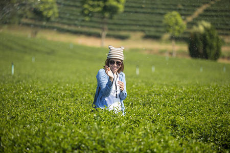 Traveler enjoying in the tea plantation.の写真素材