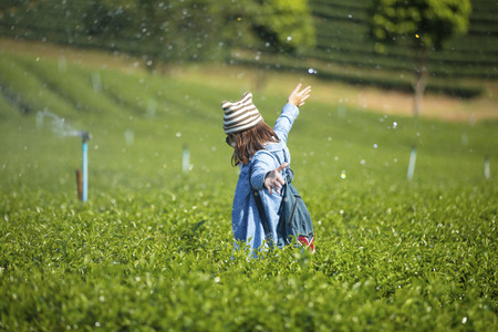 Traveler enjoying in the tea plantation.の写真素材