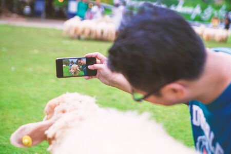 a man selfie with sheep