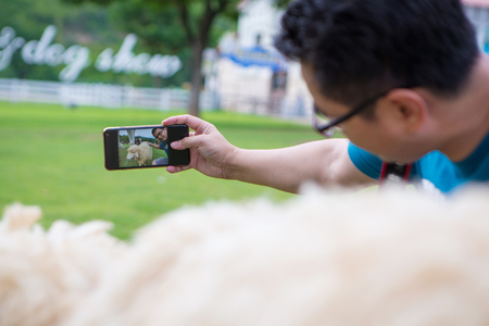 a man selfie with sheepの写真素材