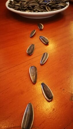 the footprints left behindのeditorial素材