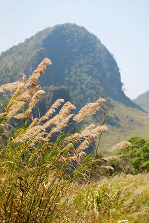 mountainの写真素材
