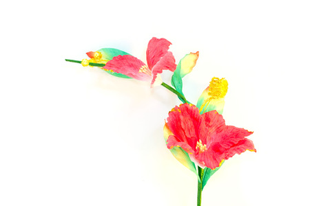 red Hibiscus rosa sinensis fake flowers on a white backgroundの写真素材