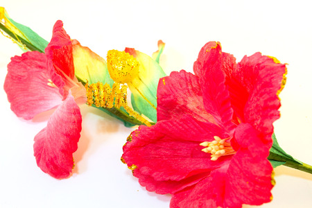 red Hibiscus rosa sinensis fake flowers on a white backgroundの写真素材