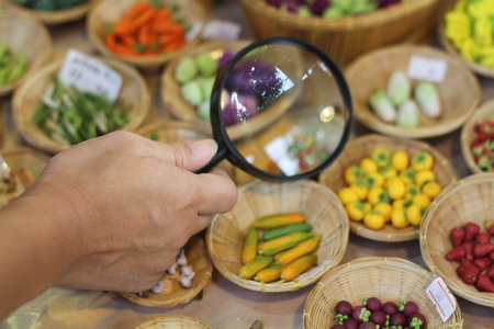 Hand with magnifying glass.の写真素材