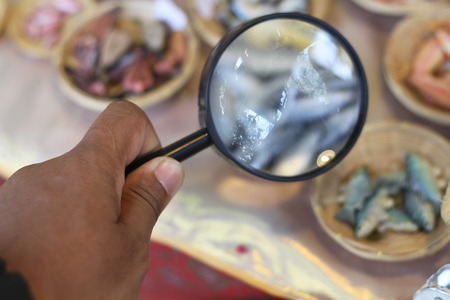 Hand with magnifying glass.の写真素材