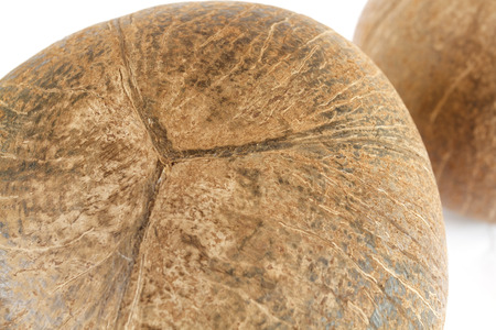 Coconut shell on a white background