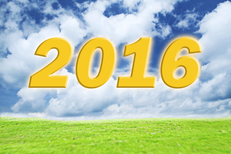 2016 year on green grass and on blue sky background