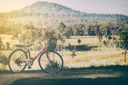 Vintage of Red bikes parked on a hill at sunset.
