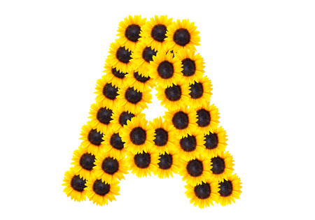 Letter A alphabet with sunflower.の写真素材