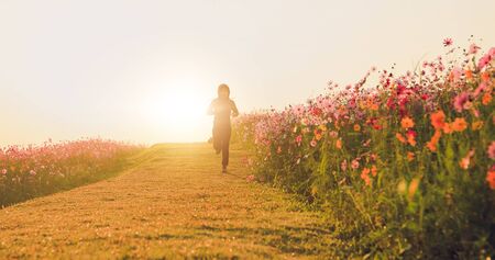 Asian women Jogging on morning at cosmos flower field