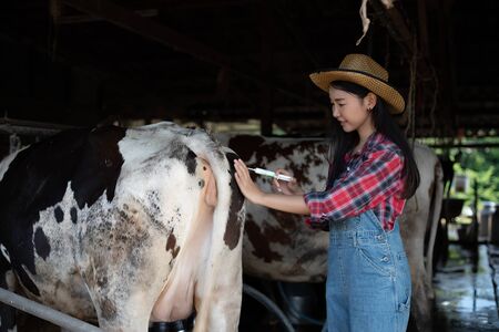 Asian women farming and agriculture industry and animal husbandry concept - young women or farmerの写真素材
