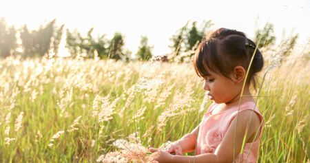 Asian child girl laughing and happy on meadow in summer in natureの写真素材
