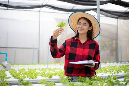 Asian woman farmer using tablet and notebook for inspecting the quality of organic vegetables grown using hydroponics.の写真素材