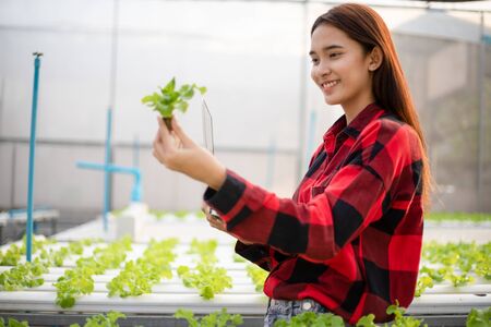 Asian woman farmer using tablet and notebook for inspecting the quality of organic vegetables grown using hydroponics.の写真素材