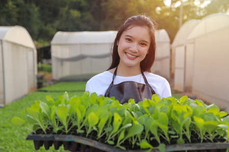 Asian women agricultural with equipment working at  farm fields