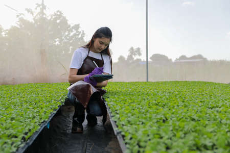 Asian women agricultural using tablet for working at  farm fieldsの写真素材
