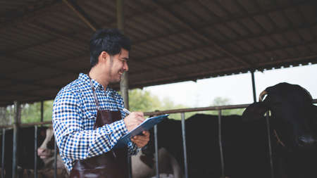 smiling and happy farmers at the dairy farm. Agriculture industry, farming and animal husbandry...
