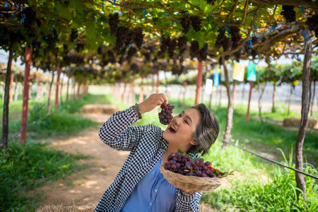 Farmers present farm produce and sell grapes online by live streaming on their mobile phones.