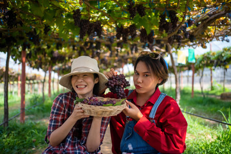Farmers present farm produce and sell grapes online by live streaming on their mobile phones.