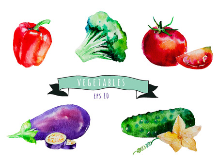 watercolor vector vegetables set. Tomato, cucumber, pepper,eggplant, cauliflower. Eps 10のイラスト素材