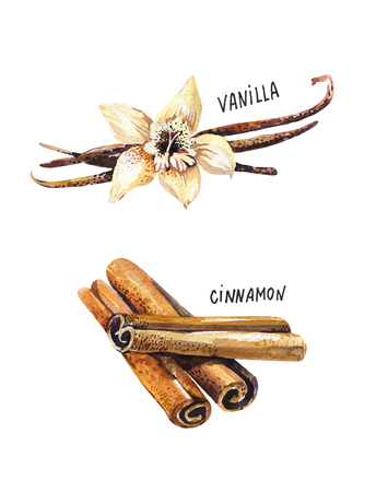 set of spice, drawing by watercolor, hand drawn illustration. Watercolor hand drawn illustration with different spicesの写真素材
