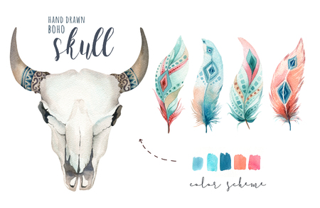 Watercolor bohemian cow skull.  Western mammals. Watercolour hipの写真素材