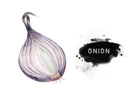 Vegetables vitamin healthy green organic hand drawn watercolor diet menu with onion fresh illustration. Isolated on white sketch.の写真素材