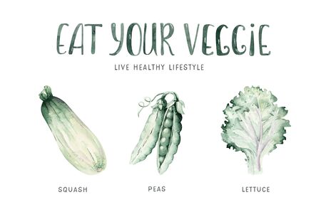 Vegetables healthy green organic set hand drawn watercolor diet menu with artichoke, broccoli, spinach, celery vitamin. Cabbage, leek and onion illustration. Isolated lettuce and radish. Squash beasの写真素材