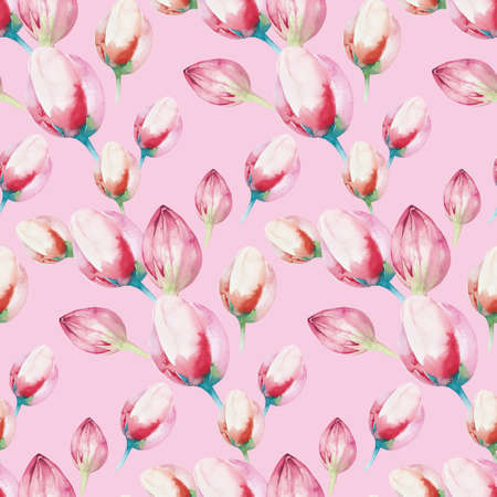 Cute Fairy character watercolor illustration on white background. Magic fantasy cartoon pink fairytale design. Baby girl birthdayの写真素材