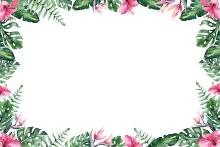 Set of bright watercolor tropical leaves. Leaves and branches from the jungle.の写真素材