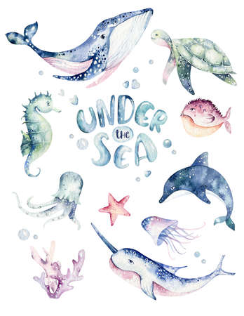 Set of sea animals poster. Blue watercolor ocean fish, turtle, whale and coral. Shell aquarium background. Nautical wildlife dolphin marine illustration, jellyfish, starfishの写真素材