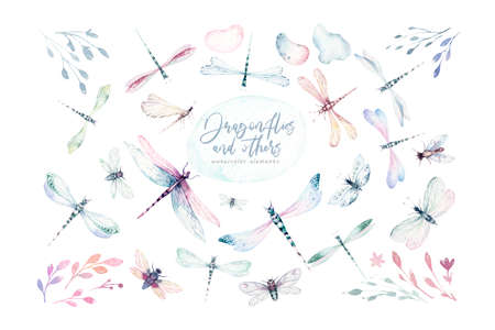 Watercolor colorful butterflies, butterfly, bugs seamless pattern on white background. blue, yellow, pink and red butterfly spring illustration.の写真素材