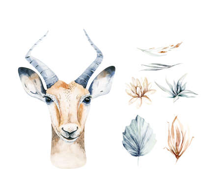 Africa watercolor savanna antelope, animal illustration. African Safari wild life cute exotic animals face portrait character. Isolated on white poster designの写真素材