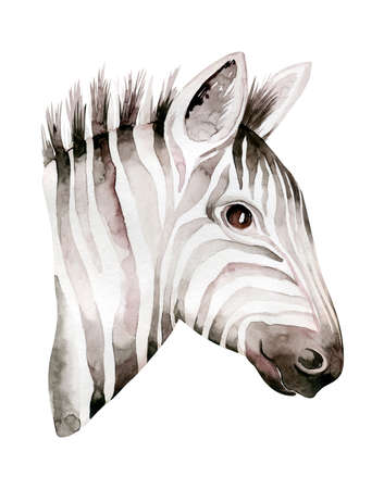 Africa watercolor savanna zebra animal. African Safari cute animals portrait character.Perfect for wallpaper print, poster, packaging ,invitation, wedding designの写真素材