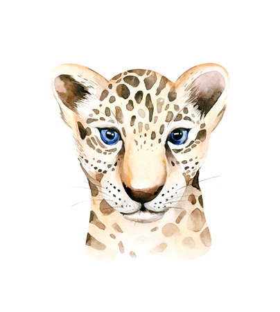 Africa watercolor savanna leopard, animal illustration. African Safari wild cat cute exotic animals face portrait character. Isolated on white poster, invitation designの写真素材